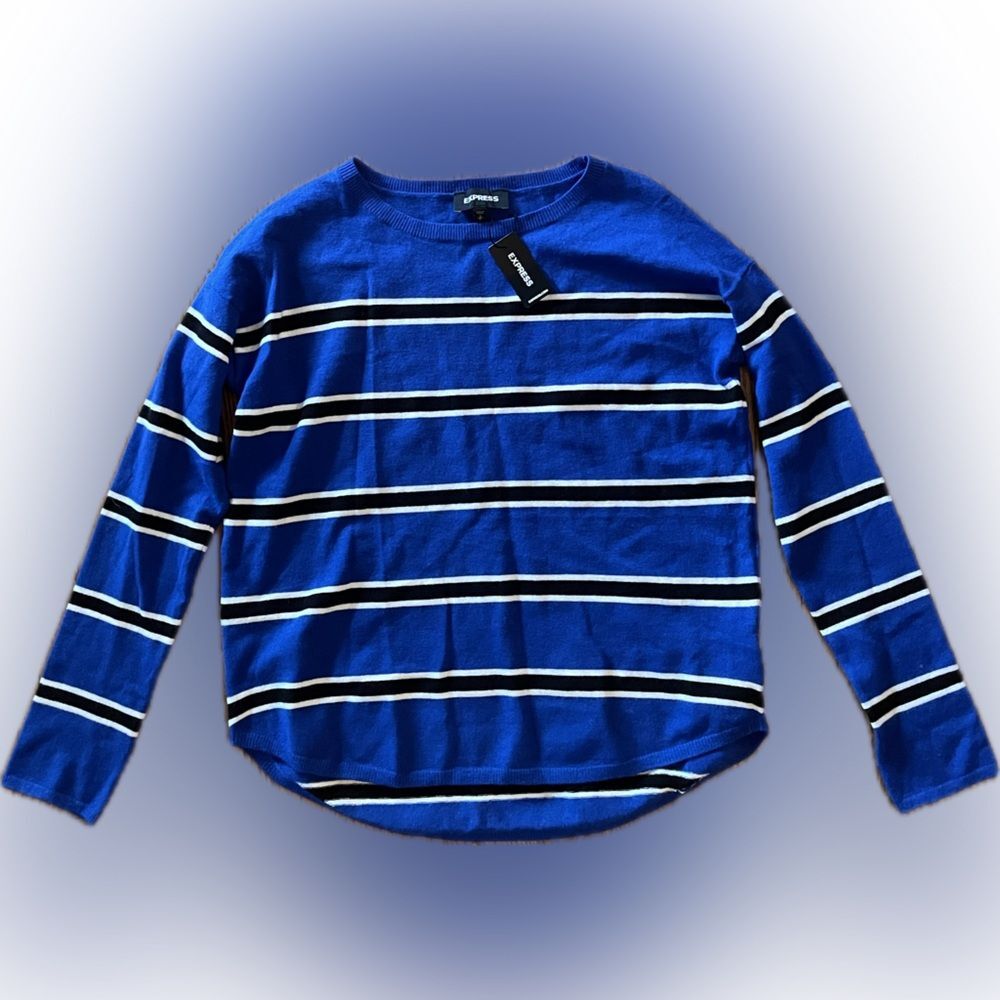 EXPRESS Blue Striped Long Sleeve Top